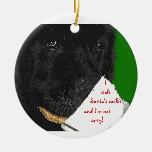 Neufundland-Hundweihnachtsverzierung Keramikornament (Vorne)