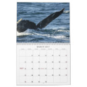 Neufundland in Bildern: A Kalender 2013 (Mär 2027)