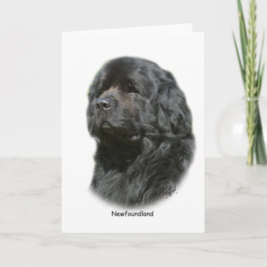 Neufundland Karte (Vorderseite)