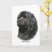 Neufundland Karte (Gelbe Blume)