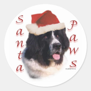 Neufundland (Landbesitzer) Santa Paws Runder Aufkleber