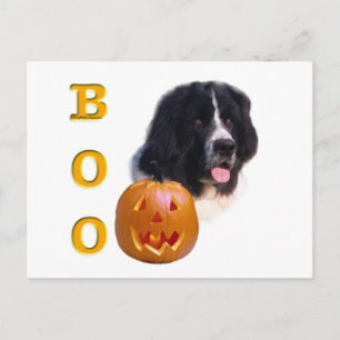Neufundland Landseer Halloween Boo Postkarte