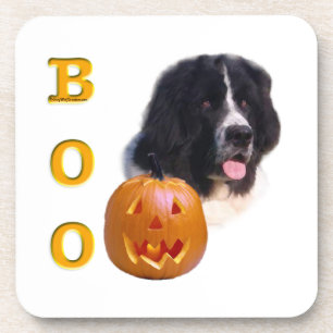 Neufundland Landseer Halloween Boo Untersetzer