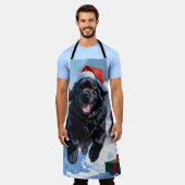 Neufundland läuft im Schnee mit Weihnachtshut Schürze (Getragen)