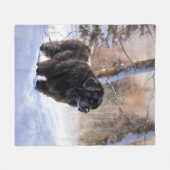 Neufundland Let It Snow Christmas Fleecedecke (Vorderseite (Horizontal))