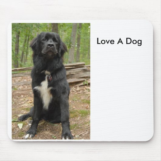 Neufundland, Liebe ein Hund Mousepad (Vorne)