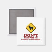 Neufundland Magnet (Vorderseite/Rückseite)