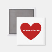 Neufundland Magnet (Vorderseite/Rückseite)