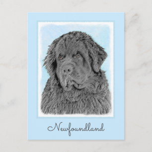 Neufundland Malerei - Niedliche Original Hunde Kun Postkarte