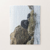 Neufundland-Meereskreatur (Schwierigkeit auswählen Puzzle (Vertikal)