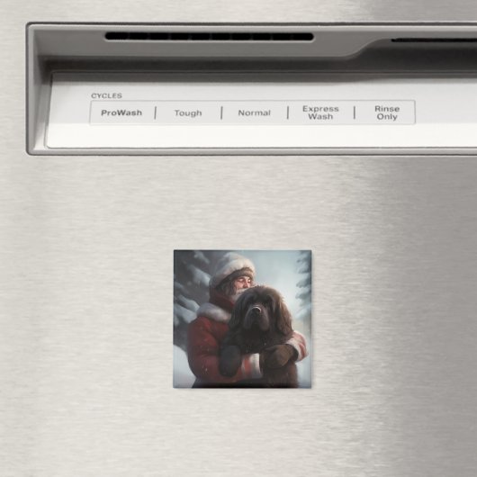 Neufundland mit Weihnachtsfeiertag Magnet (In Situ (Geschirrspüler))