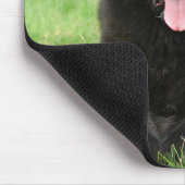 Neufundland Mousepad (Ecke)