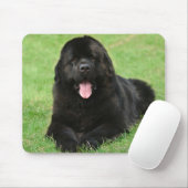 Neufundland Mousepad (Mit Mouse)