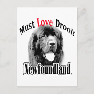 Neufundland muss Liebe Drool Postkarte