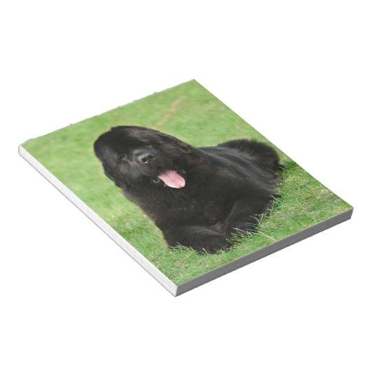 Neufundland Notizblock (angewinkelt)