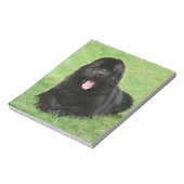 Neufundland Notizblock (Rotiert)