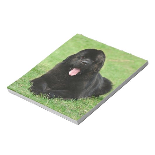 Neufundland Notizblock (Rotiert)