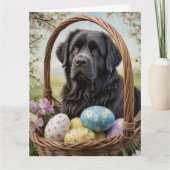 Neufundland - Ostereier Karte (Vorderseite)