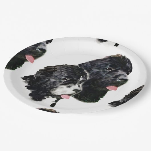 Neufundland painting.png pappteller (Schrägansicht)