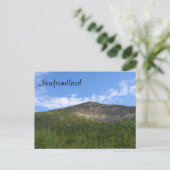 Neufundland Postkarte (Stehend Vorderseite)