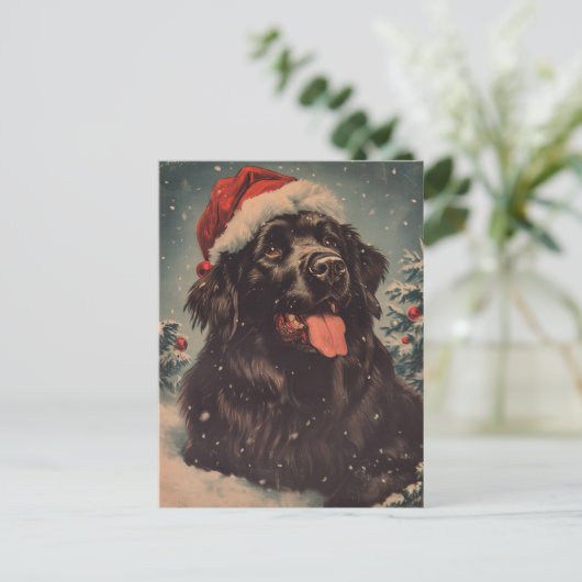 Neufundland Postkarte (Stehend Vorderseite)