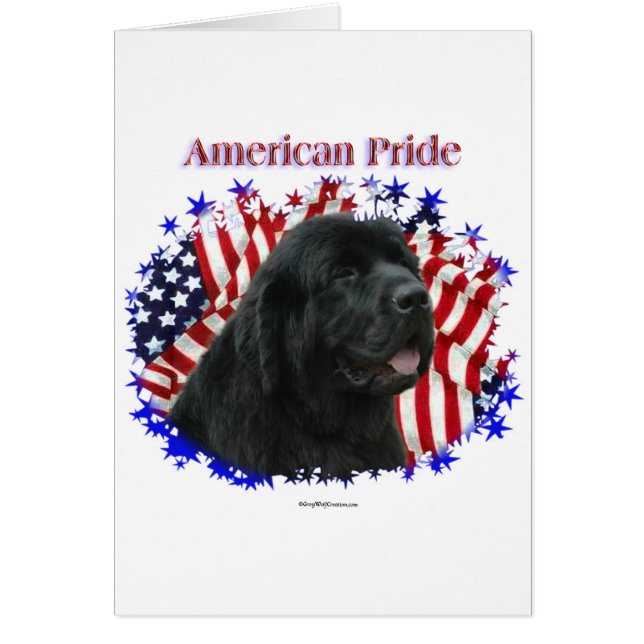 Neufundland Pride (Vorne)