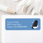 Neufundland Puppy (Insitu)