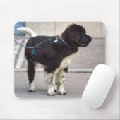 Neufundland Puppy Mousepad (Mit Mouse)