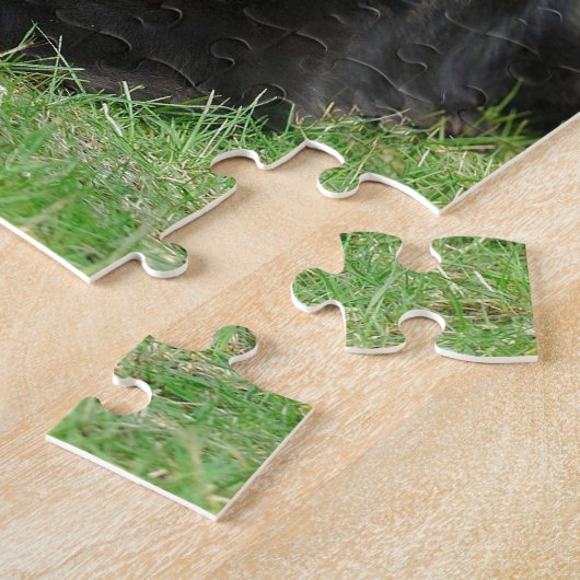 Neufundland Puzzle (Seite)