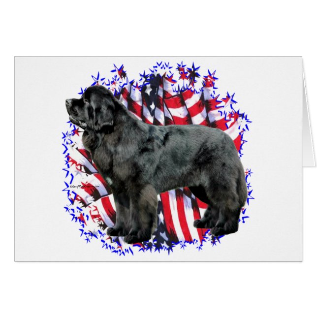 Neufundland (schwarz) (Vorderseite (Horizontal))