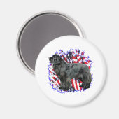 Neufundland (schwarz) magnet (Vorderseite/Rückseite)