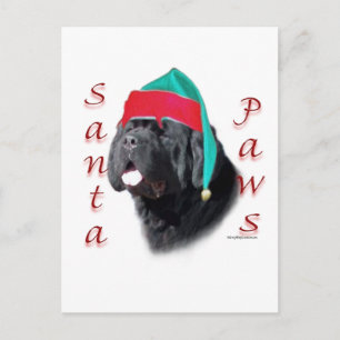 Neufundland (schwarz) Santa Paws Feiertagspostkarte