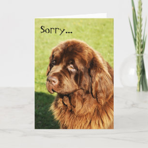 Neufundland Sorry Card Karte