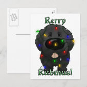 Neufundland Weihnachtsbeleuchtung Feiertagspostkarte (Vorne/Hinten)