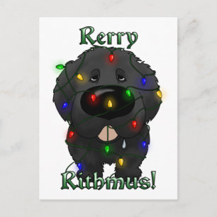 Neufundland Weihnachtsbeleuchtung Feiertagspostkarte