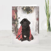 Neufundland - Weihnachtskarte Karte (Vorderseite)