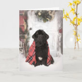 Neufundland - Weihnachtskarte Karte (Gelbe Blume)