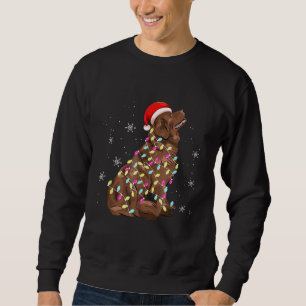 Neufundland - Weihnachtslicht Funny Dog Lover Sweatshirt