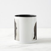 Neufundland-Welpe, Studioschuß Tasse (Zentrum)