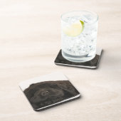 Neufundland-Welpenschlafen (Canis familiaris). Getränkeuntersetzer (Rechte Seite)