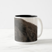 Neufundland-Welpenschlafen (Canis familiaris). Zweifarbige Tasse (VorderseiteRechts)