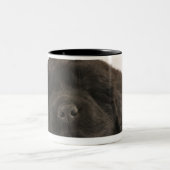 Neufundland-Welpenschlafen (Canis familiaris). Zweifarbige Tasse (Mittel)