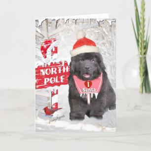 Neufundland Welppy Lieben Santa Cards Feiertagskarte