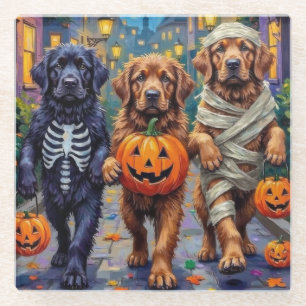 Neufundländer Halloween-Kostüme beim Trick-or-Trea Glasuntersetzer