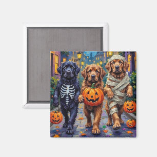 Neufundländer Halloween-Kostüme beim Trick-or-Trea Magnet