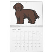 Neufundländer Hund Kalender (Jan 2027)