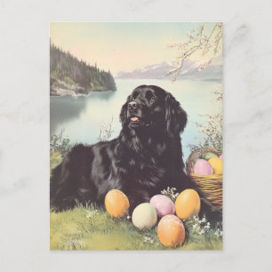 Neufundländer Hund Ostern im Vintage-Stil Postkarte