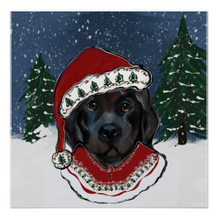 Neufundländer Hund   Poster