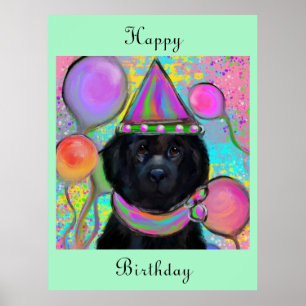 Neufundländer Hund Poster