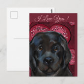 Neufundländer Hund Postkarte (Vorne/Hinten)